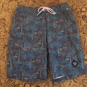 American eagle swim shorts